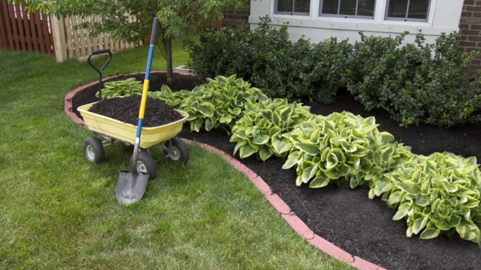 flower bed and grass