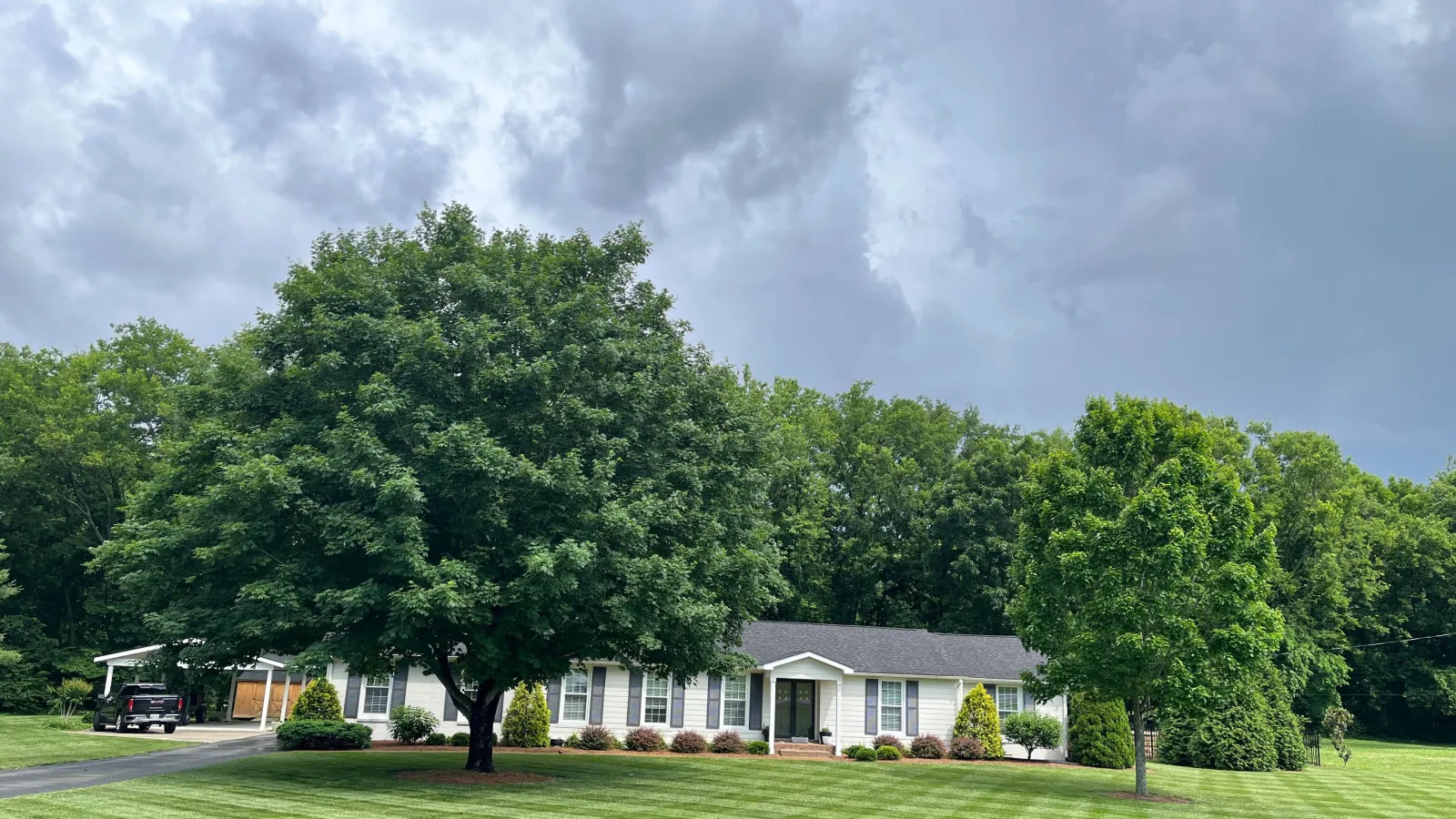 Drought Stress on Lawns