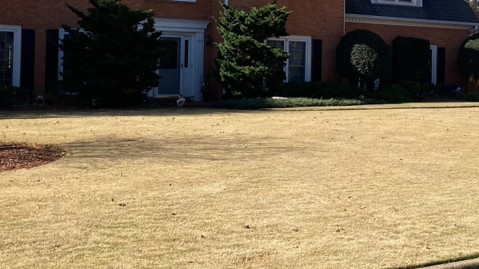 a yard with a house in the background