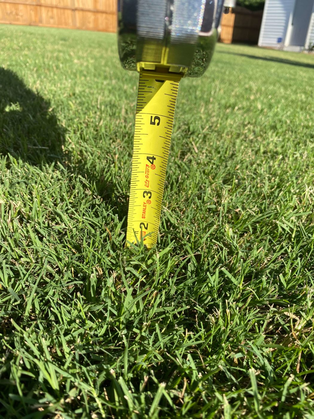 bermuda lawn mowed at 2 inches