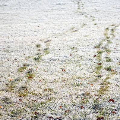 footprints on frosty lawn