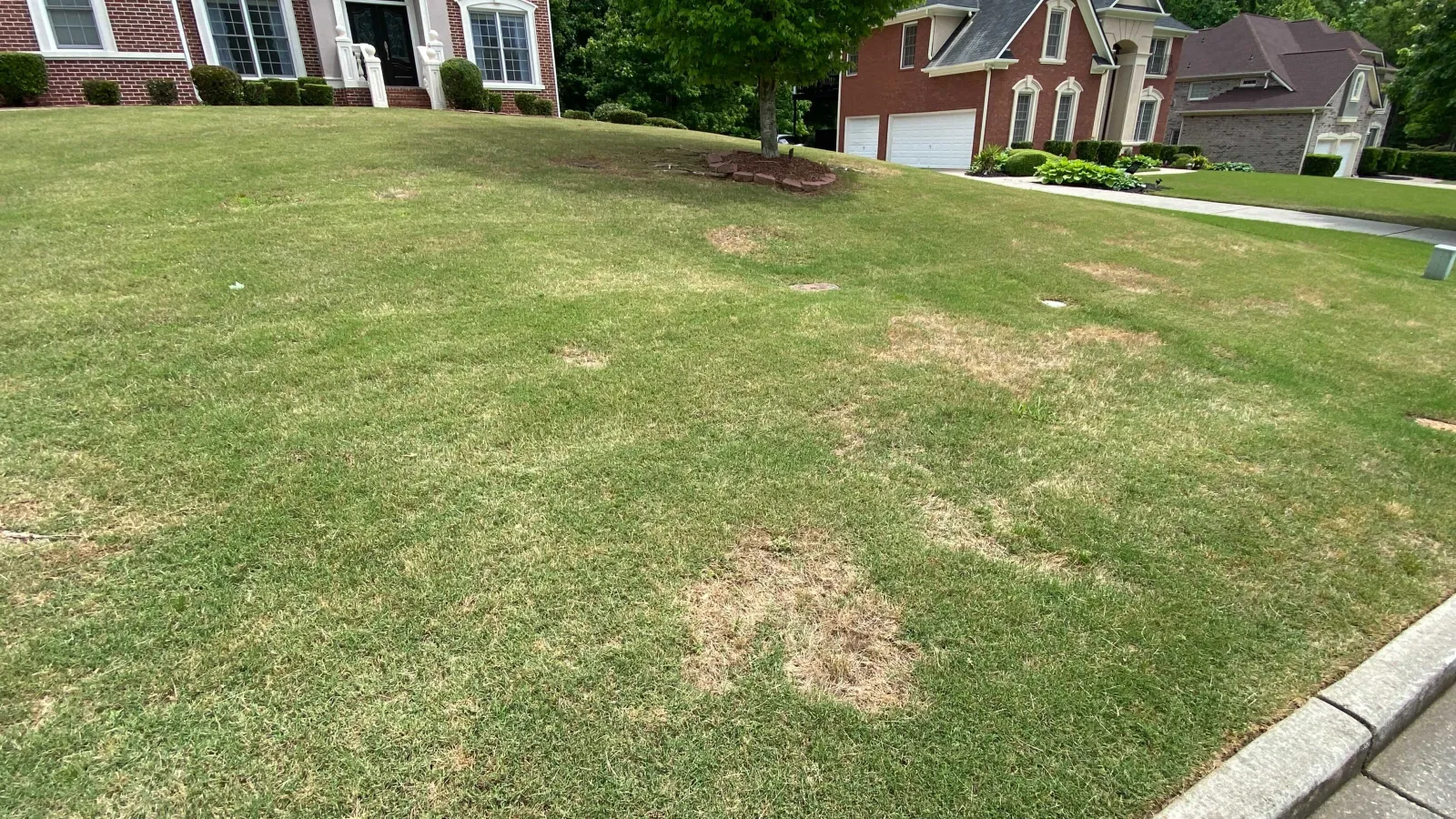 An Unwelcomed Dollar- Dollar Spot