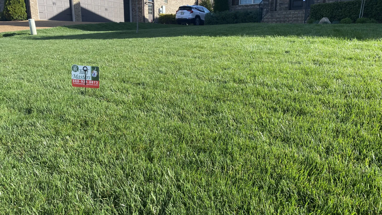 Thick, weed free lawn